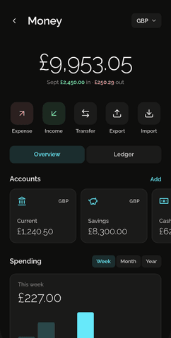 Shadowkit Money overview: net balance, this month’s income and spending, and accounts.